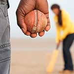100 pics Sports answers Cricket