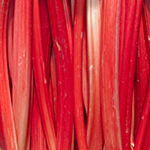 100 pics Spring answers Rhubarb