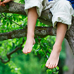 100 pics Spring answers Tree Climbing