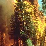 100 pics Weather answers Wildfire
