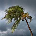 100 pics Weather answers Tropical Storm