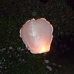 100 pics Wedding answers Chinese Lantern