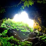 100 pics Desert Island answers Cave