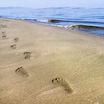 100 pics Desert Island answers Footprints