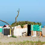 100 pics Desert Island answers Shelter