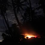 100 pics Desert Island answers Campfire