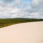 100 pics Desert Island answers Dune