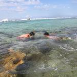 100 pics Desert Island answers Snorkelling