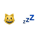 100 pics Emoji 2 answers Cat Nap