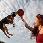 100 pics Pets answers Frisbee