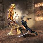 100 pics Video Games 2 answers Ninja Gaiden