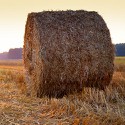100 pics Autumn answers Bale Of Hay