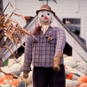 100 pics Autumn answers Scarecrow
