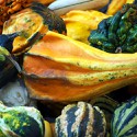100 pics Autumn answers Gourds
