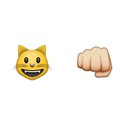 100 pics Emoji Quiz 3 answers Catfight