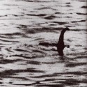 100 pics N Is For answers Nessie