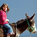 100 pics Summer answers Donkey Ride