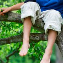 100 pics Summer answers Climbing Trees