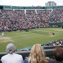 100 pics Tennis answers Wimbledon