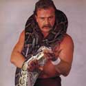 100 pics I Heart 1980S answers Jake The Snake
