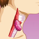 100 pics O Is For answers Oesophagus