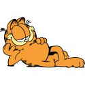 100 pics Cats answers Garfield