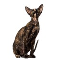 100 pics Cats answers Peterbald