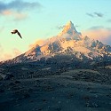 100 pics Fantasy Lands answers Lonely Mountain