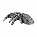 100 pics Animal Kingdom 1 answers Giant Anteater