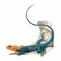 100 pics Animal Kingdom 1 answers Rainbow Agama