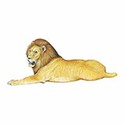 100 pics Animal Kingdom 1 answers Somali Lion