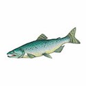 100 pics Animal Kingdom 2 answers Chinook Salmon