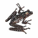 100 pics Animal Kingdom 2 answers Cinammon Frog
