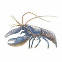 100 pics Animal Kingdom 2 answers Lobster