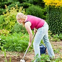 100 pics Gardening answers Digging 