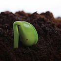 100 pics Gardening answers Germination 