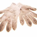 100 pics Gardening answers Gloves 