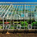 100 pics Gardening answers Greenhouse 