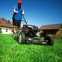 100 pics Gardening answers Lawnmower 