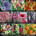 100 pics Gardening answers Perennials 