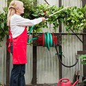 100 pics Gardening answers Pesticide 
