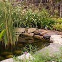 100 pics Gardening answers Pond 