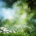 100 pics Gardening answers Precipitation 