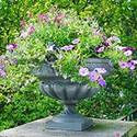 100 pics Gardening answers Vase 