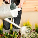 100 pics Gardening answers Watering Can 