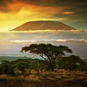 100 pics Look Up answers Kilimanjaro 