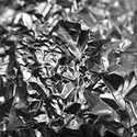 100 pics Materials answers Aluminium