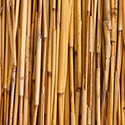 100 pics Materials answers Bamboo