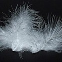 100 pics Materials answers Down Feathers