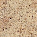 100 pics Materials answers Granite